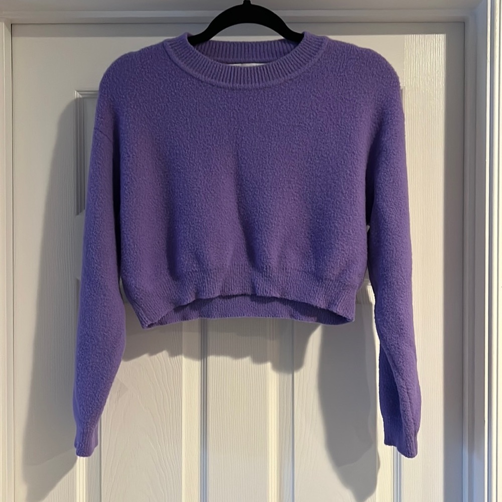 Zara Cropped Sweater